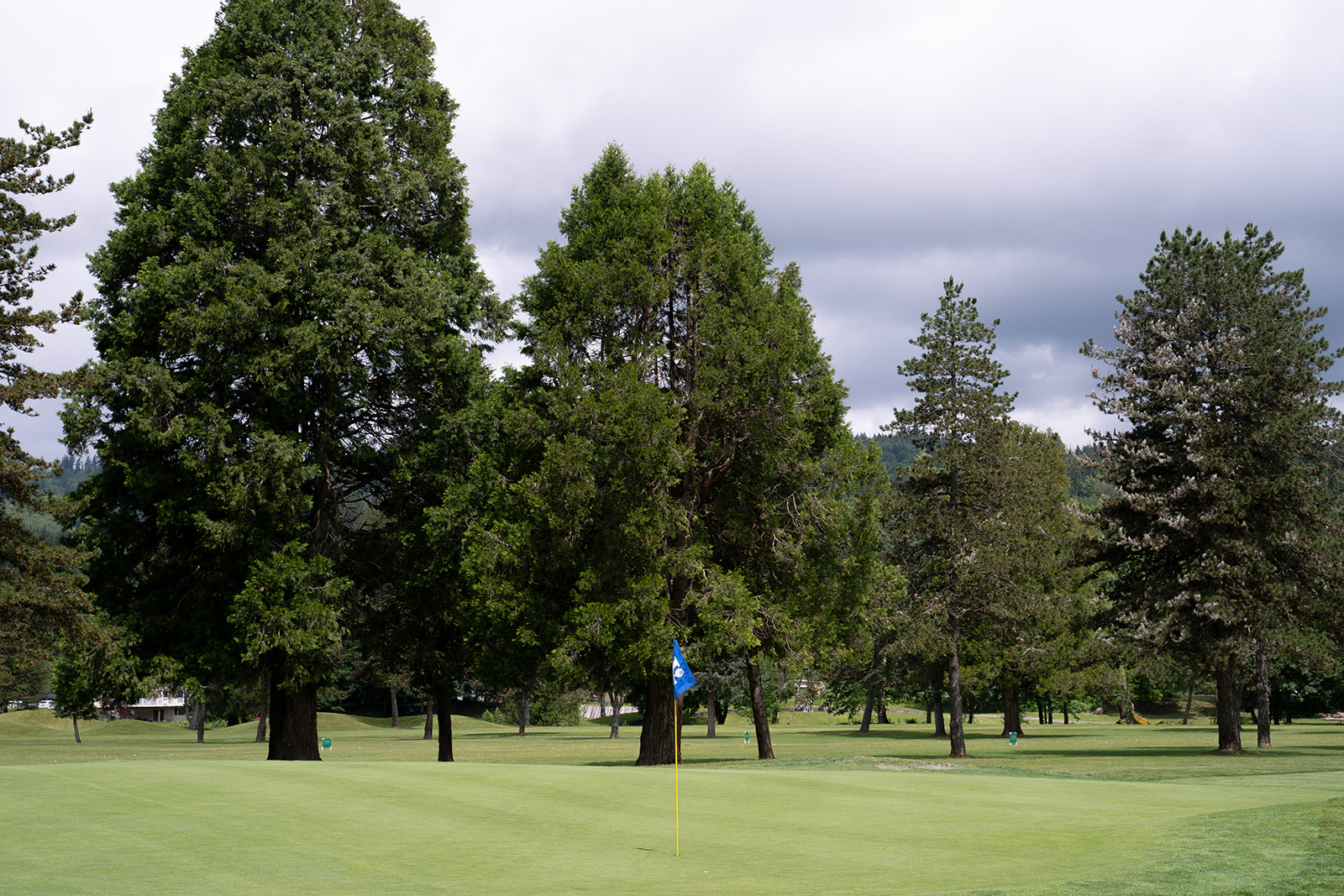 Image of golf ball on tee on grass.