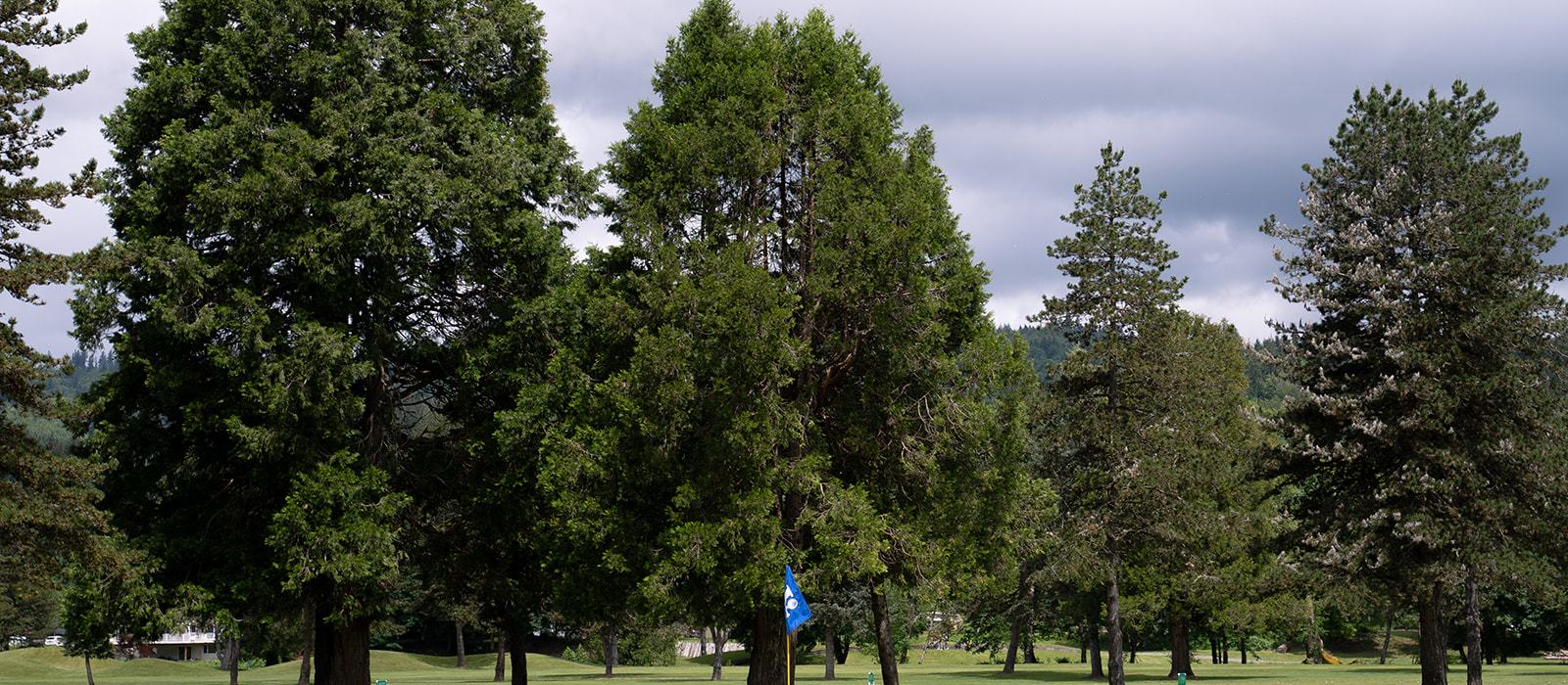 View of golf course with blue flag